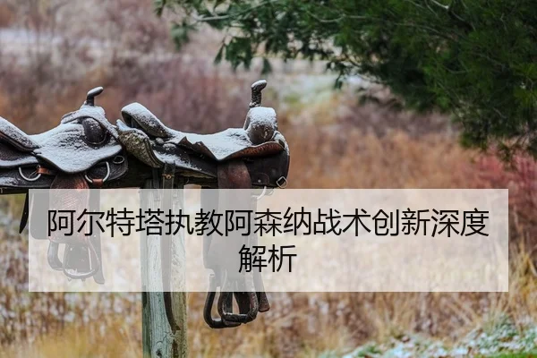 a-er-te-ta-zhi-jiao-a-sen-na-zhan-shu-chuang-xin-shen-du-jie-xi-1-384.jpg